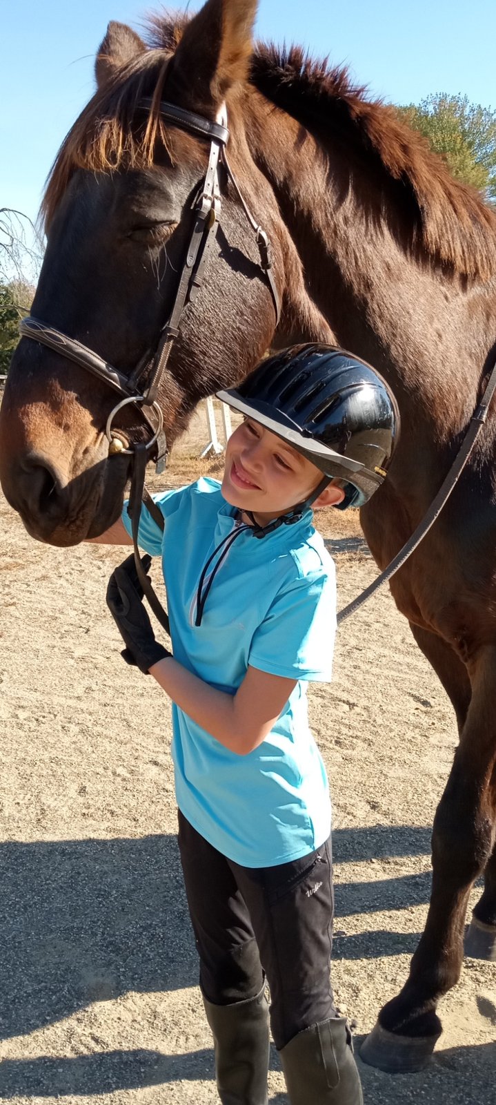 Rider hugging dark horse